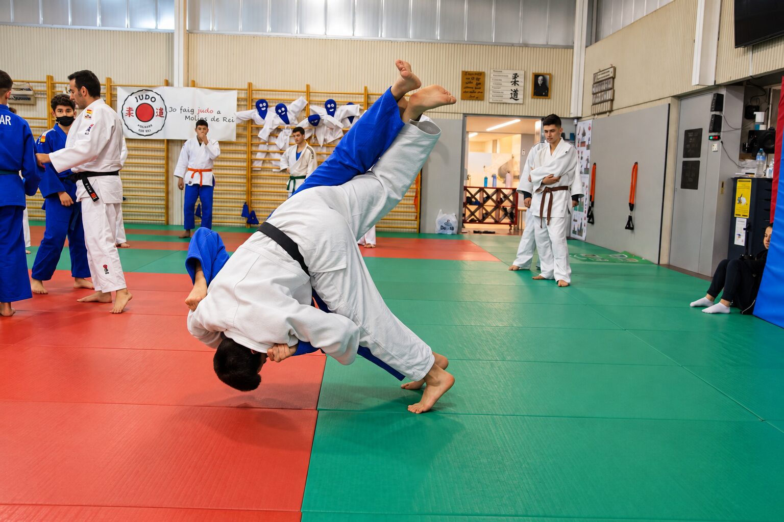 Judo IV