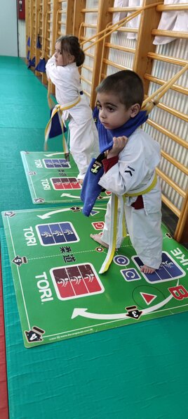 Judo II